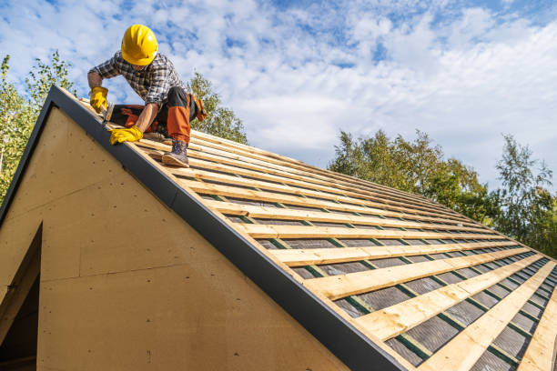 Best Metal Roofing Contractor  in Edgewater, FL